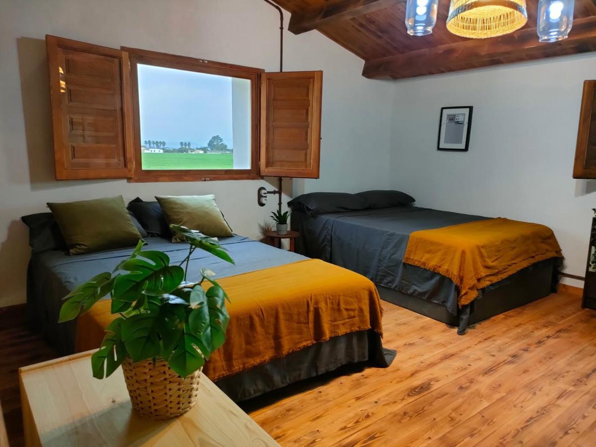 Masia Sisqueta Els Muntells Ngoại thất bức ảnh